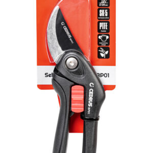 d89ce00a7324428862369c4f6b5a429e